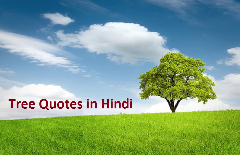 tree quotes hindi