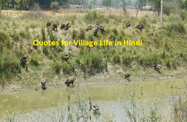 village quotes in hindi